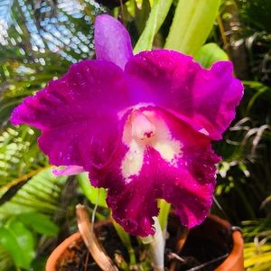 Meet your Posher, Itsariyaporn